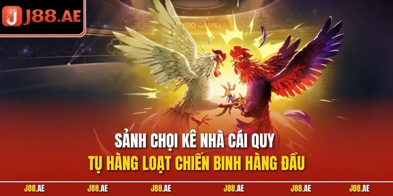 Sảnh chọi kê nhà cái quy tụ hàng loạt chiến binh hàng đầu