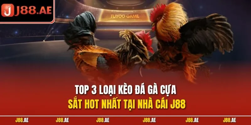 Top 3 loại kèo đá gà cựa sắt hot nhất tại nhà cái J88